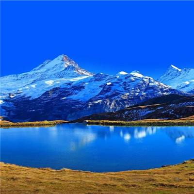 博盈体育软件下载官网