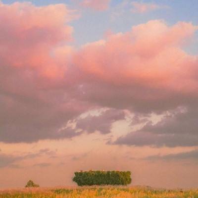 188金宝慱亚洲体育官网手机版下载