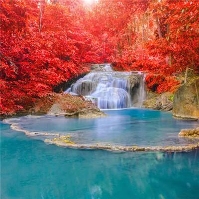 开yun体育官网入口登录苹果