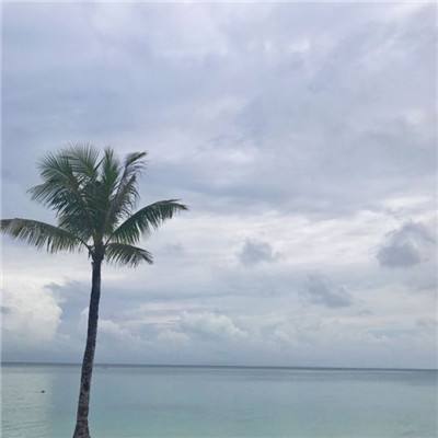 IM体育官方网站