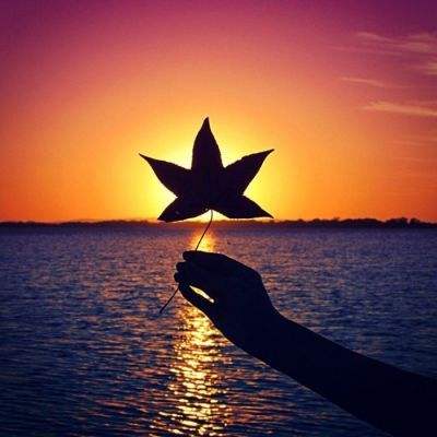 华体会登录(官方)APP下载app下载