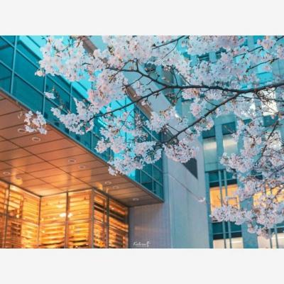 星空体育安卓app下载截图