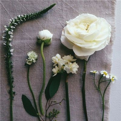 乐发彩票登录首页大厅截图