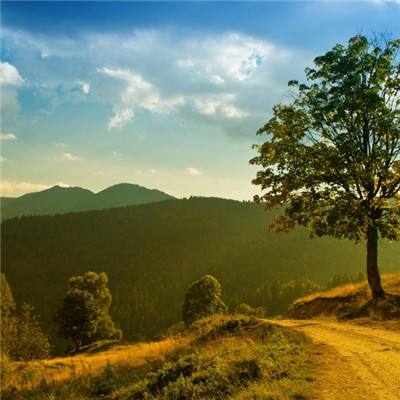 365体育官方唯一入口app下载截图