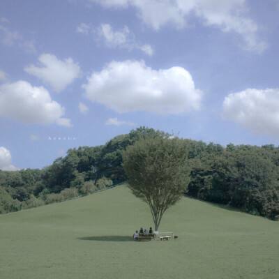 b体育官方官网入口